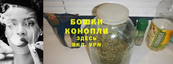 амф Бородино
