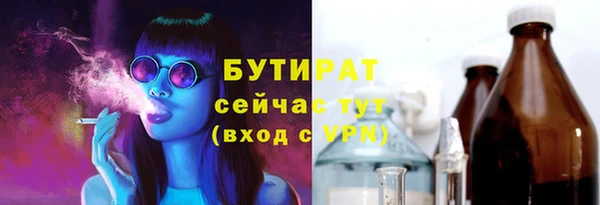 гашик Новозыбков