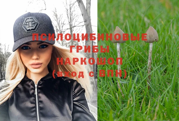 гидропоника Новокубанск