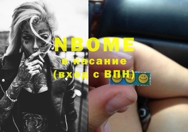 амф Бородино