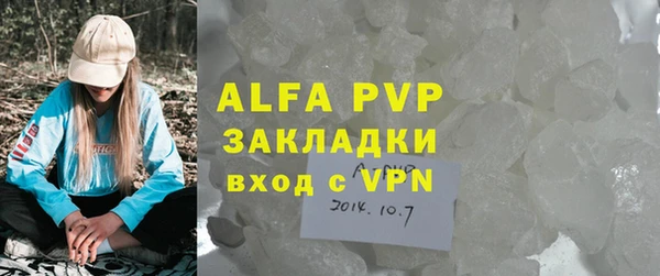 гашик Новозыбков